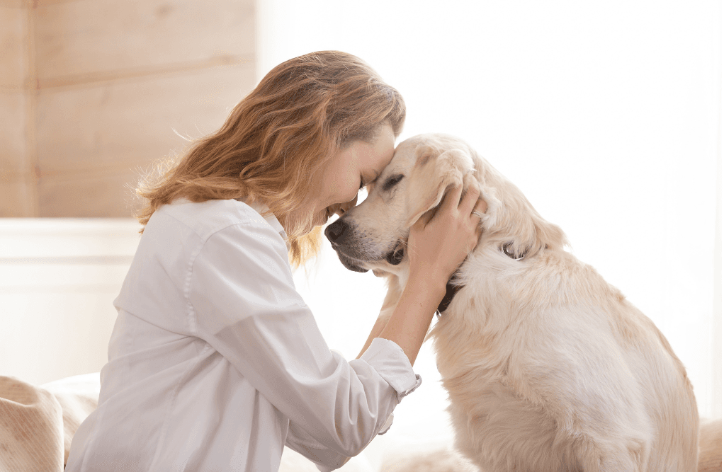 Pet owner bonding with their dog