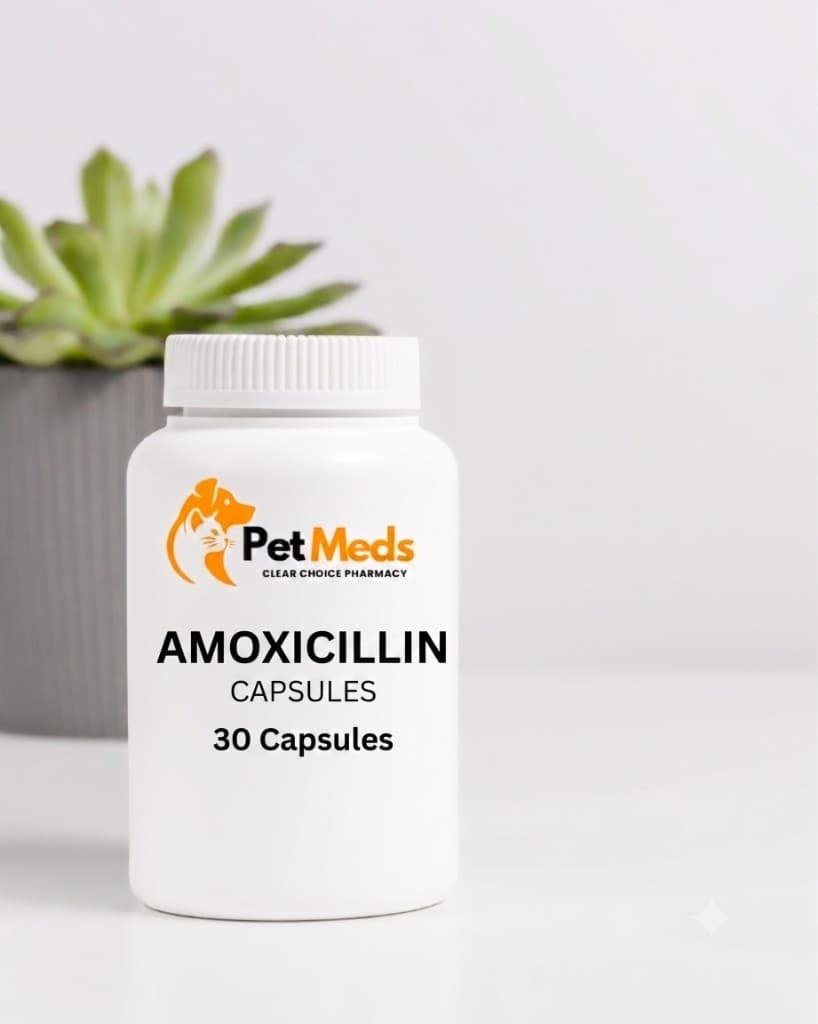 Amoxicillin 250mg Capsule