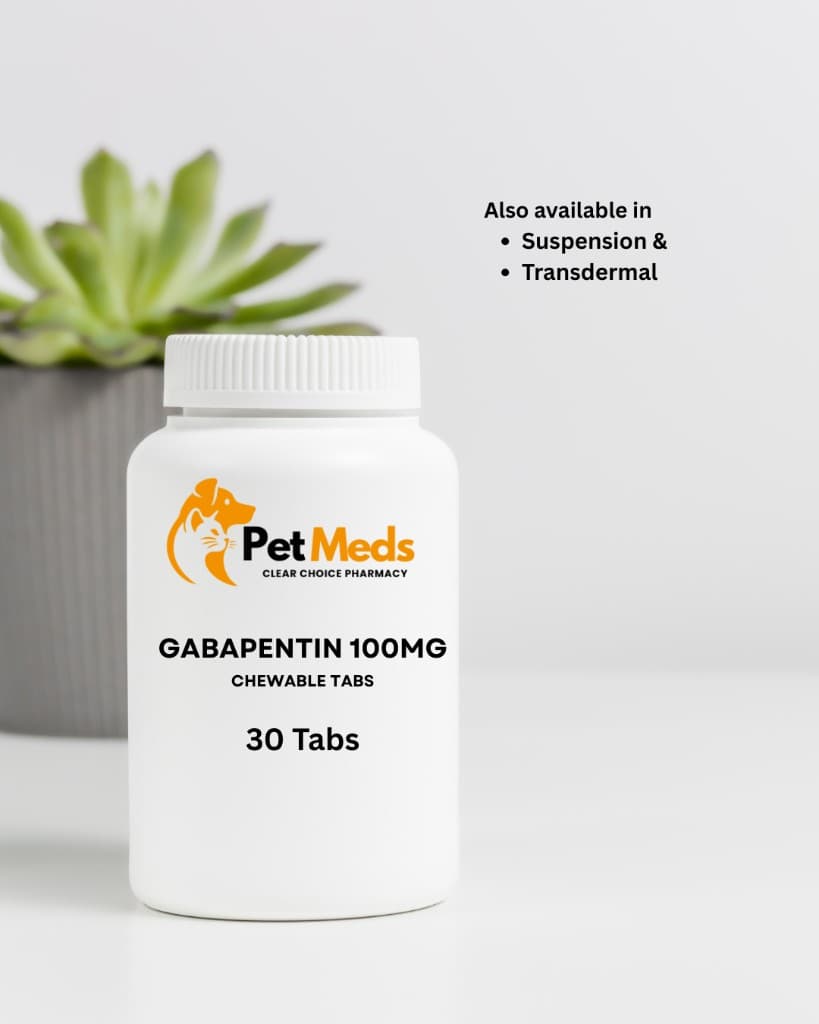 Gabapentin 100mg chewable tablets
