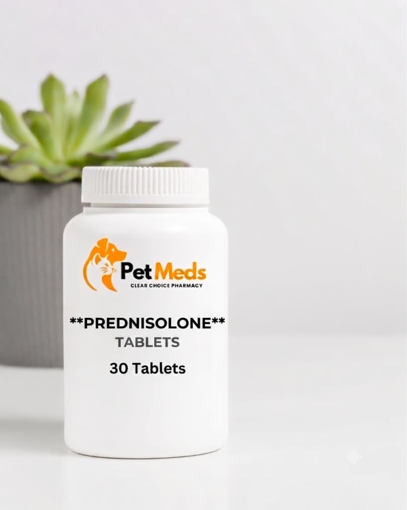Prednisolone 5mg Tablet
